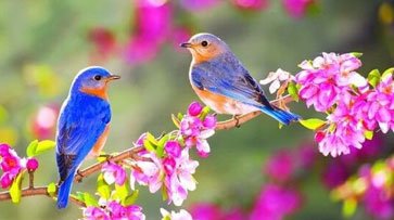 Spring in the Village